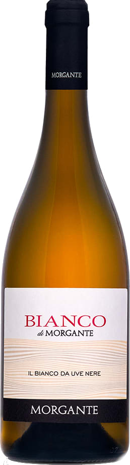 Morgante Bianco di Morgante 2023